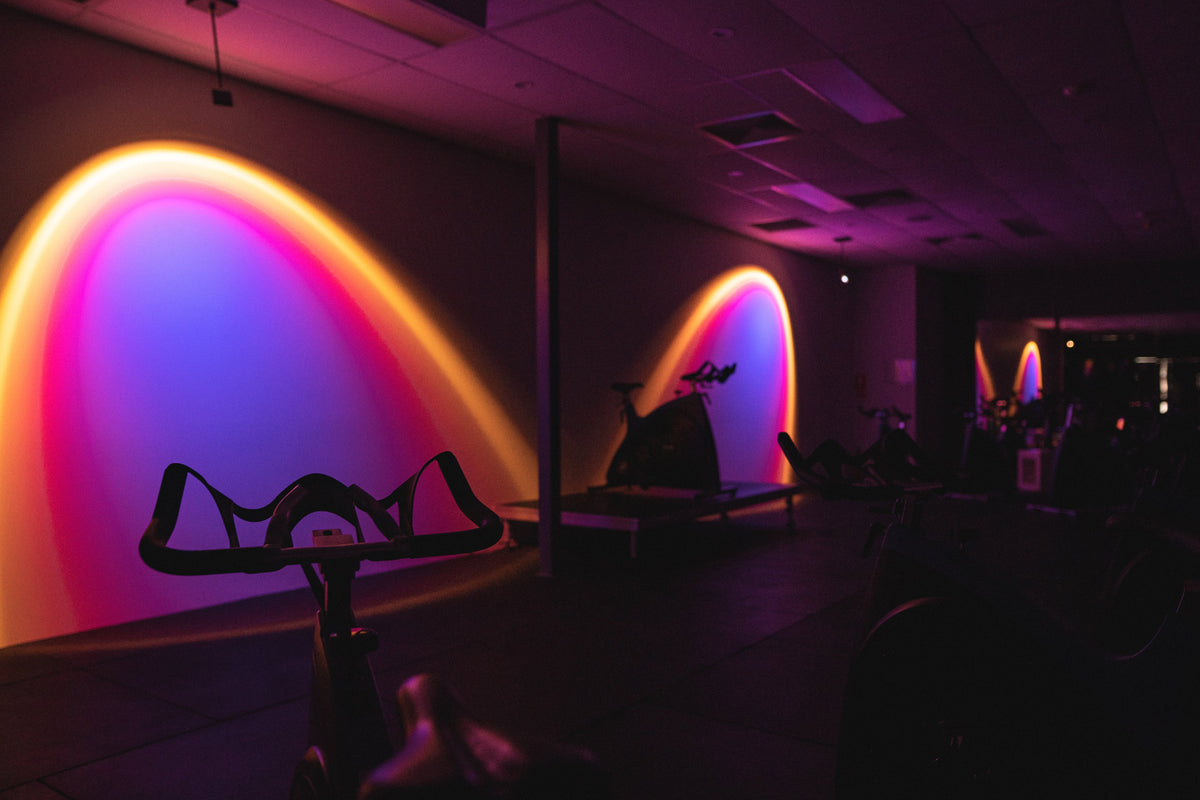 Halo Edition – Specialist Lighting Distributors