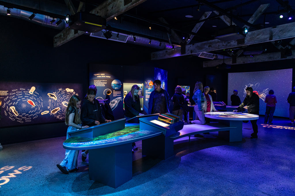 Marine Discovery Centre Features Ljusdesign