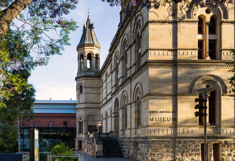 South Australian Museum installs Soraa