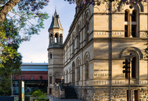 South Australian Museum Installs Soraa