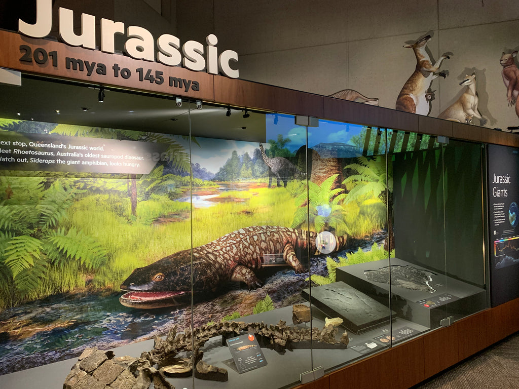 The new permanent dinosaur gallery at the Queensland Museum...