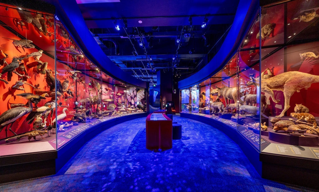 Melbourne Museum’s Latest 'Our Wondrous Planet'