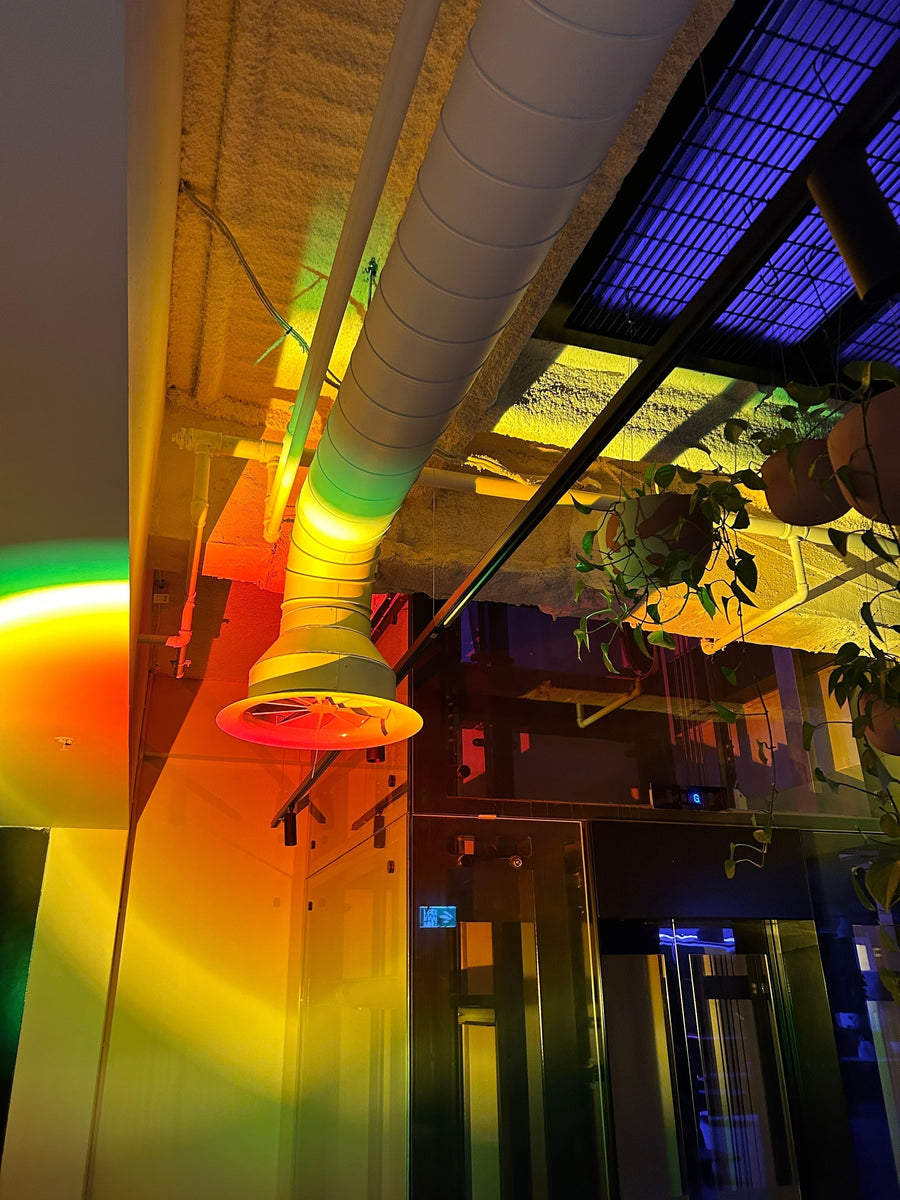 Hayball Celebrates with Halo Edition – Specialist Lighting Distributors